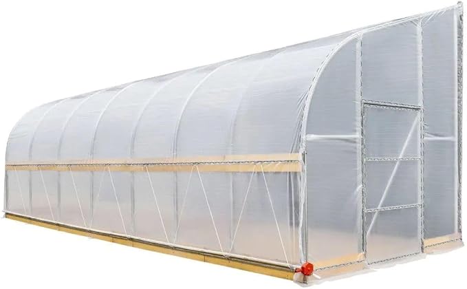 10x30ft Lean-to Grow Frame 6mil EVA Transparent Film Cover Corrosion-Free Steel Body with Manual Roll-Up Side 6ft High Wall Cold-Resistant Growing Unit