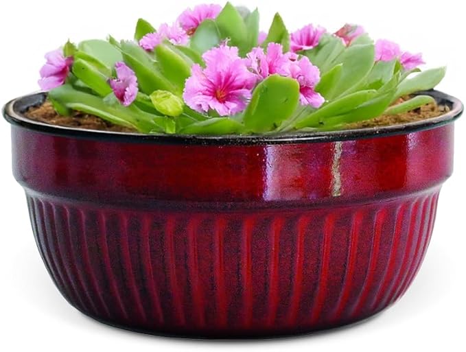Headwind Glazed Ironstone Boutique Collection Cascade Bowl Plant Pot – Sangria Color 8 Inch Pot for Indoor Plants - Planters for Indoor Plants - Ideal Succulent Planters by Robert Allen