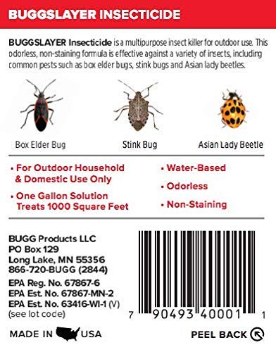 BUGGSLAYER Insecticide - Concentrate - Outdoor Box Elder Bugs, Stink Bugs, Asian Lady Beetles - 16 oz Bottle