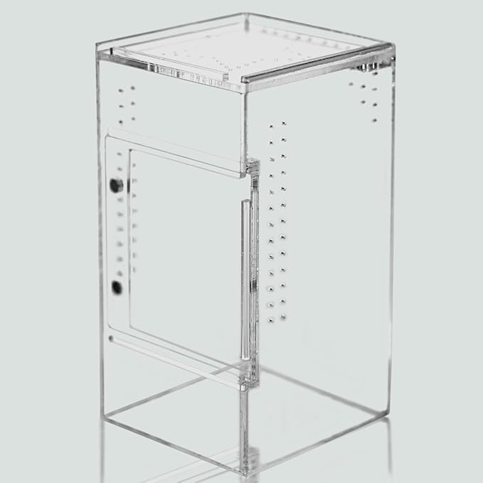 maiyuolg Reptile Tank 3x3x6 Terrarium – Acrylic Reptile Enclosure for Gecko, Jumping Spider, and Praying Mantis – Compact Tree-Dwelling Terrarium for mini Pets