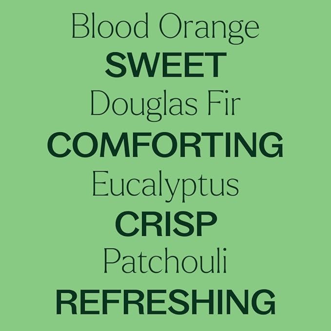 Plant Therapy Holly Berries Holiday Essential Oil Blend 10 mL (⅓ oz) 100% Pure, Undiluted, Natural Aromatherapy, Festive, Cozy Home Scent