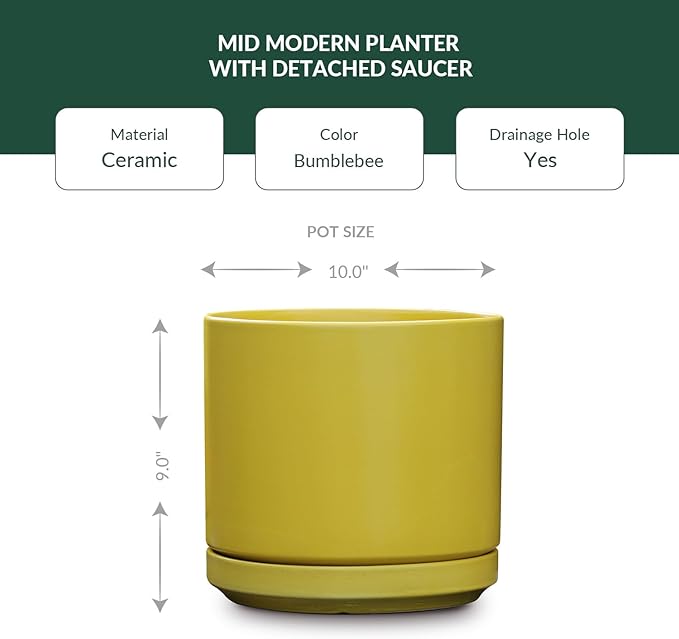 PLANTATOREM Ceramic 10 Inch Mid Modern Planter Pot with Drainage Hole and Saucer, Indoor Cylinder Round Flower Pot, Perfect for Planting Succulents, Herbs, Flowers, House Plants, Bumblebee