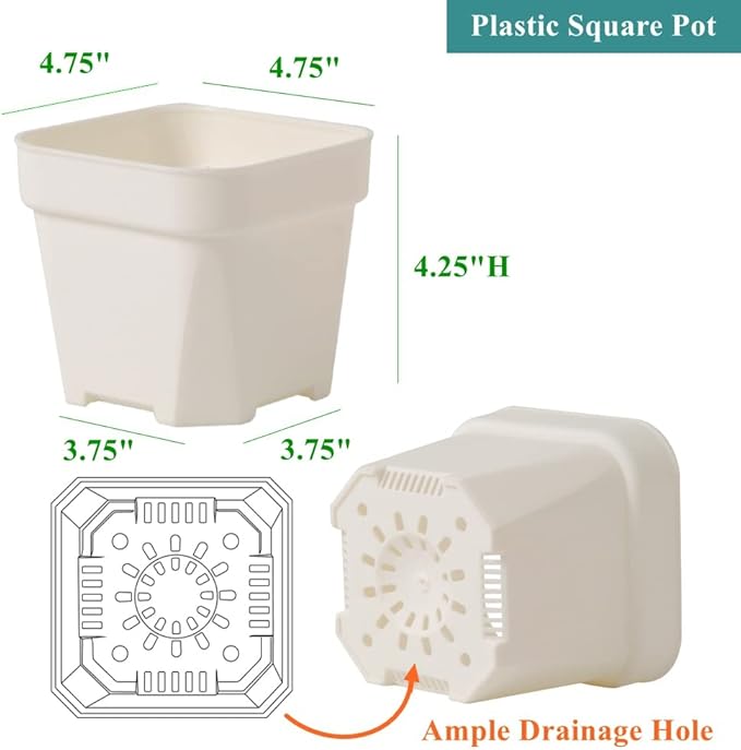 BangQiao 20 Pack 4.75 Inch Small White Plastic Square Nursery and Seedling Pot with Drainage Hole for Germination, Cactus, Herb, Succulent