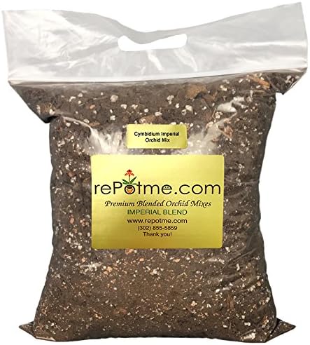 Cymbidium Imperial Orchid Mix - Mini Bag (2 Quarts)