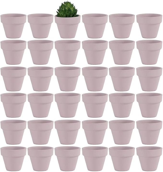 Yishang 1.9 Inch Tiny Pink Terracotta Pots Pack of 36-Small Mini White Clay Pots with Drainage Holes Flower Nursery Terra Cotta Planter for Tiny Cactus,Herb,Succulent Plants,Crafts