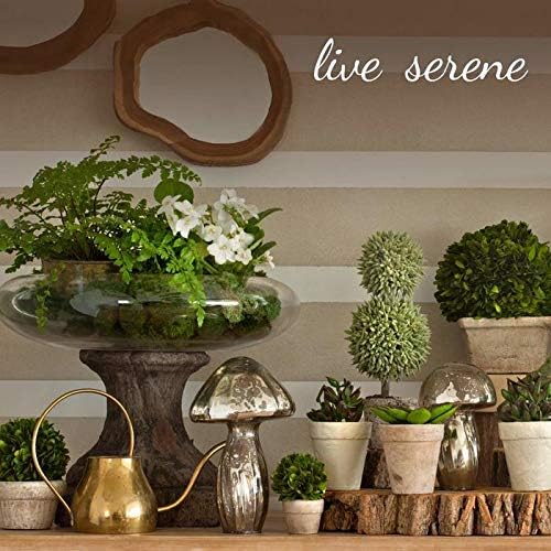 Serene Spaces Living Small Mango Wood Cachepot, Natural Wooden Pot for Faux Flowers & Plants, Potted Indoor Plants, Home, Office, Restaurant Decor, Measures 4.75" Diameter & 4.5" Tall