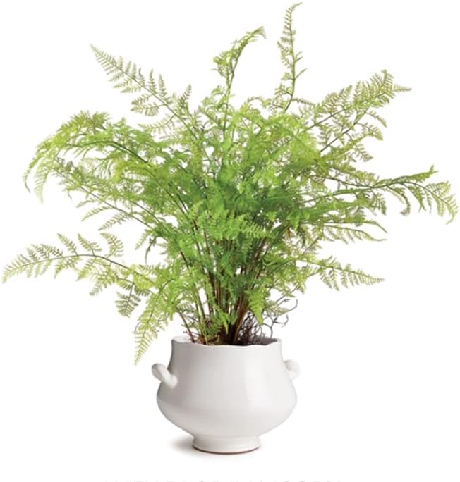 MY SWANKY HOME Elegant White Ceramic Curvy Urn Shaped Planter Traditional Farmhouse Scalloped Indoor
