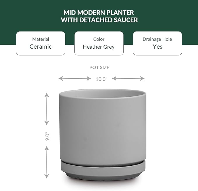 PLANTATOREM Ceramic 10 Inch Mid Modern Planter Pot with Drainage Hole and Saucer, Indoor Cylinder Round Flower Pot, Perfect for Planting Succulents, Herbs, Flowers, House Plants, Heather Grey