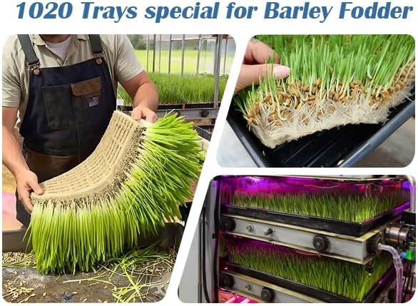 10-Pack Heavy-Duty 1020 Seed Trays – Durable, Extra-Thick Plastic Flats for Seed Starting, Microgreens & Transplanting – Fits 7.3'' Humidity Dome and 4'' Planter (21" x 11", 2.76" Deep, No Drain Hole)