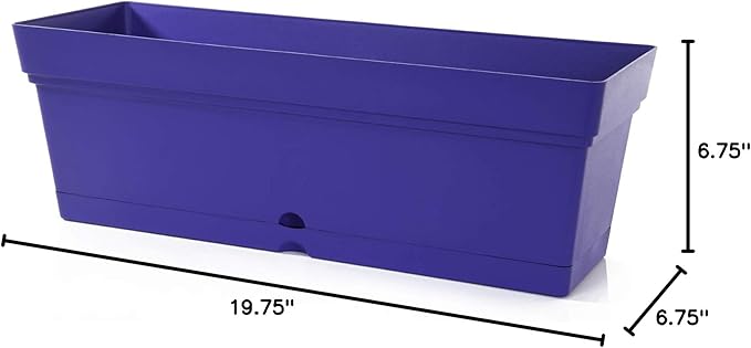 Mintra Window Box Planter, Window Planter Box for Indoor Outdoor Use, Rectangular Pots with Saucers & Drainage Holes, Decorative Plant Pots for Window Sill, Shelf, Desktop, 19" Wx6.75 H, Purple