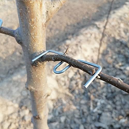 Fruit Tree Branch Puller Tying Machine Farm Tools, New Plum Tree Open Angle Pull Branch Bending Tool, Fruit Trees Branch Spreaders, Fruit Trees Branch Support 15PCS (M-3.1/3.9/5.1 inch)