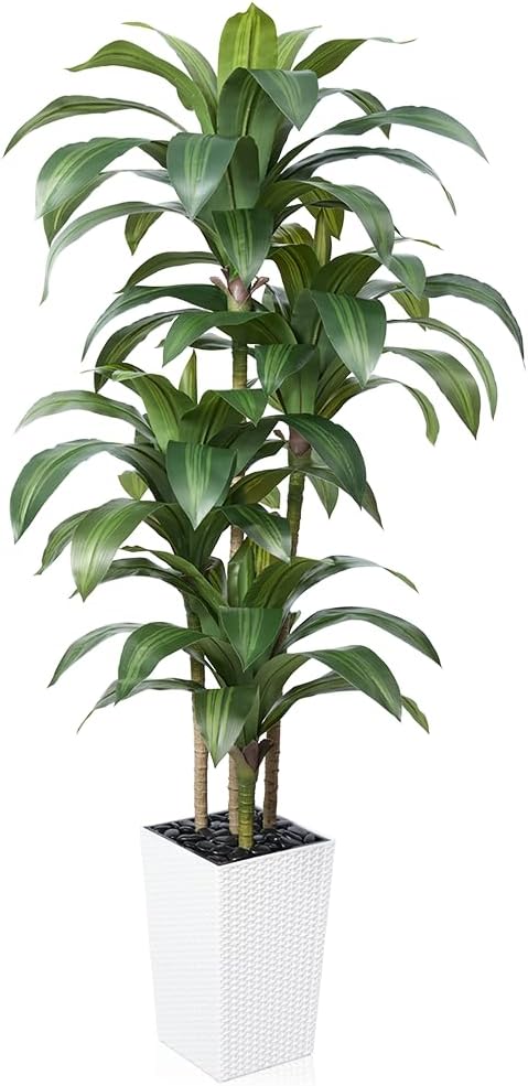 VeriNatural Artificial Dracaena Tree 6FT - Fake Tree with White Taper Planter & Pebbles - UV Resistant Faux Yucca Tropical Plant - Artificial Trees for Home Office Living Room Decor Indoor Outdoor