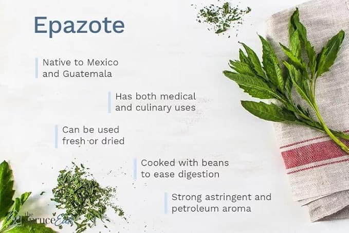 Live Epazote Plant/Mexican Tea. Year's Supply. Family+Friends Pack. Helps Immunity, Digestion, Metabolism. Flavorful, Pungent, Fresh, Edible. Easy Grow. Indoor/Outdoor. (4 Epazote in Cup)