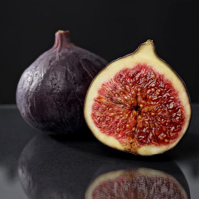 Black Mission Fig Plant (4 Pack) | Live Fruit Plant for Planting | Grow Your Own Sweet & Juicy Figs at Home | Easy to Grow & High-Yielding Tree | Perfect for Fresh Eating, Drying & Organic Gardening