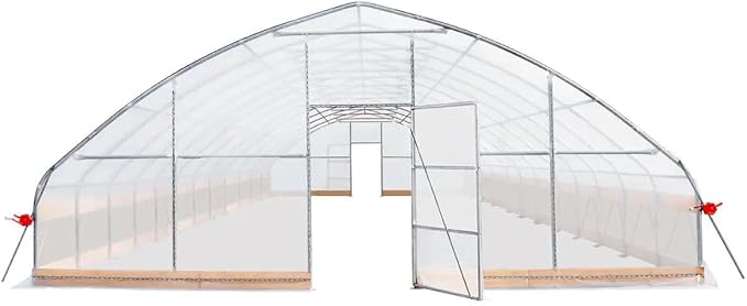25x50ft Large Tunnel Greenhouse, 6mil Crystal Clear EVA Film, Non-Rusting Steel Frame, Hand-Operated Roll-Up Sides, Apex Roof