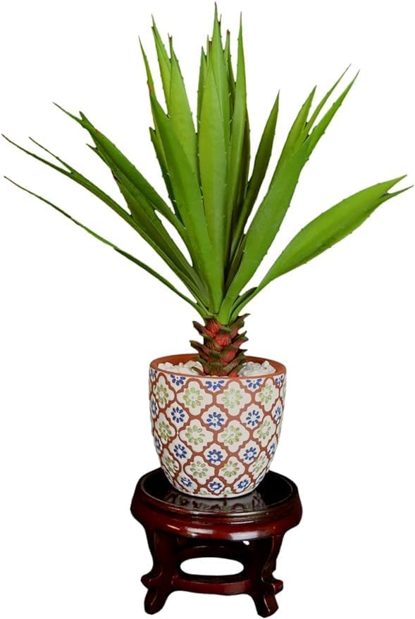 6" Wooden Rosewood Fishbowl Display Vase Stand Plant Pot Display Stand