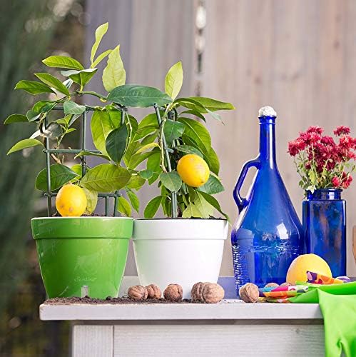 DECOPOTS - 3 Pack - Self Watering Planter - Modern Flower Pot with Water Level Indicator for All House Plants, Flowers, Herbs - Height 9 inches (Diameter 11.8", Green - Gold/White)