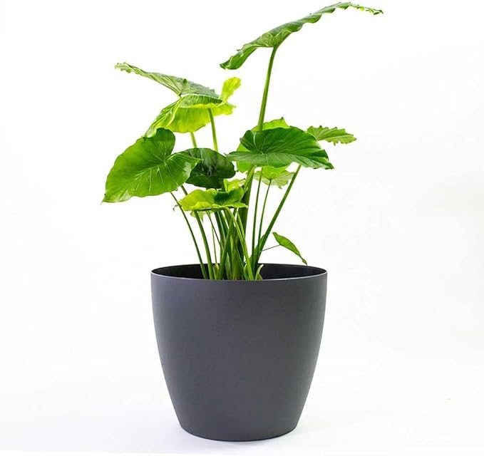 Greenline Manufacturing Memphis 15" Round Indoor Floor Planter Pot – Lightweight & Durable Plastic, Modern Design, Made in USA, Recyclable Large Plant Container for Home & Office Décor (Charcoal Meta
