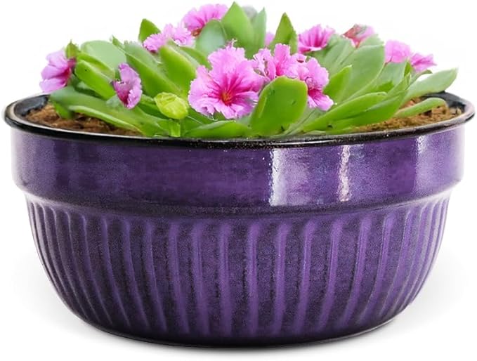 Headwind Glazed Ironstone Boutique Collection Cascade Bowl Plant Pot – Plum Color 8 Inch Pot for Indoor Plants - Planters for Indoor Plants - Ideal Succulent Planters by Robert Allen