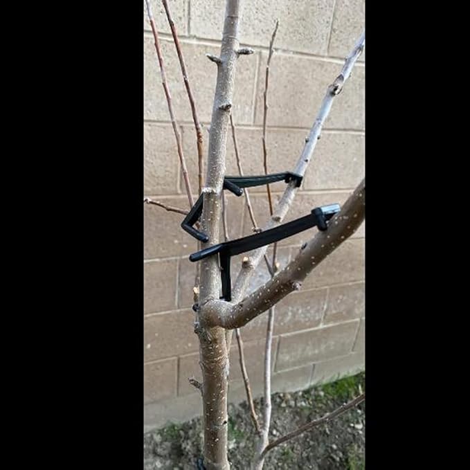 Cunguv Fruit Tree Branch Limb Spreader for Strong Spreading Crotch Angles Branches,Plastic Bonsai Branch Trunk Spreaders Modelling Tool 25 Pieces Black