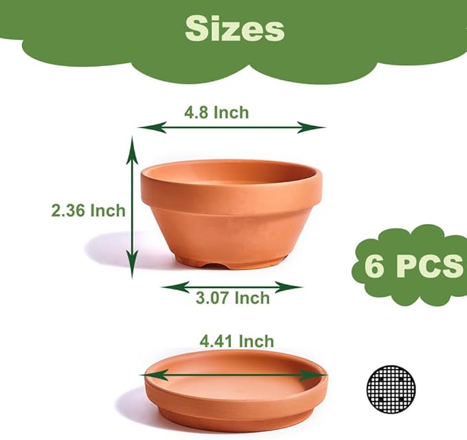 5 Inch Shallow Terracotta Pot for Succulent - 6 Pcs Small Shallow Plant Pots with Drainage Hole and Saucer, Clay Plant Pottery Pots for Cactus Succulent and Other Indoor Outdoor Plants