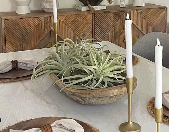 Casktcom® Extra Large Artificial Air Plants – Set of 3 Faux Tillandsia Bromeliads，Fake Succulent Plants – No Care Needed
