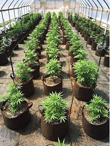 MAUI MIKE'S Root Pouch 10 Gallon/ 10 Pack Heavy Duty Grow Bag. Plant Fabric Pots with Handles. Grow Fabric Pots & Bags for Tomatoes,Vegetables and Flowers. Made from Recycled Water Bottles.