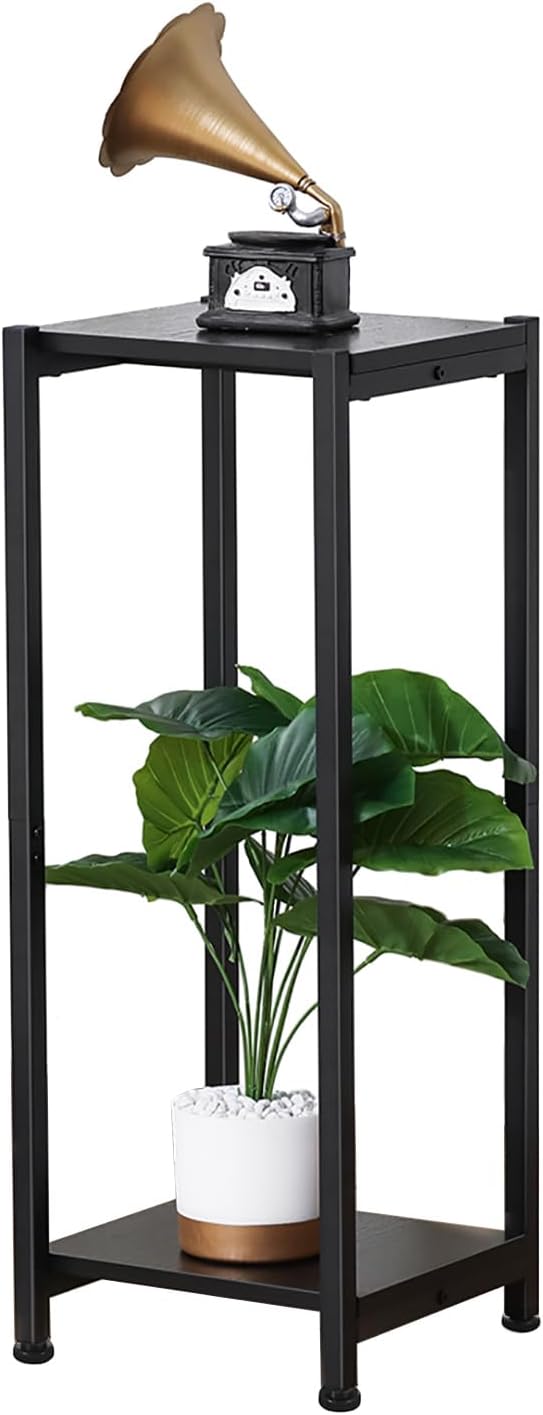 Dipion Tall Plant Stand Indoor,31 Inch Plant Stands,2 Tier Metal Plant Stand with Heavy Duty Wood,Black