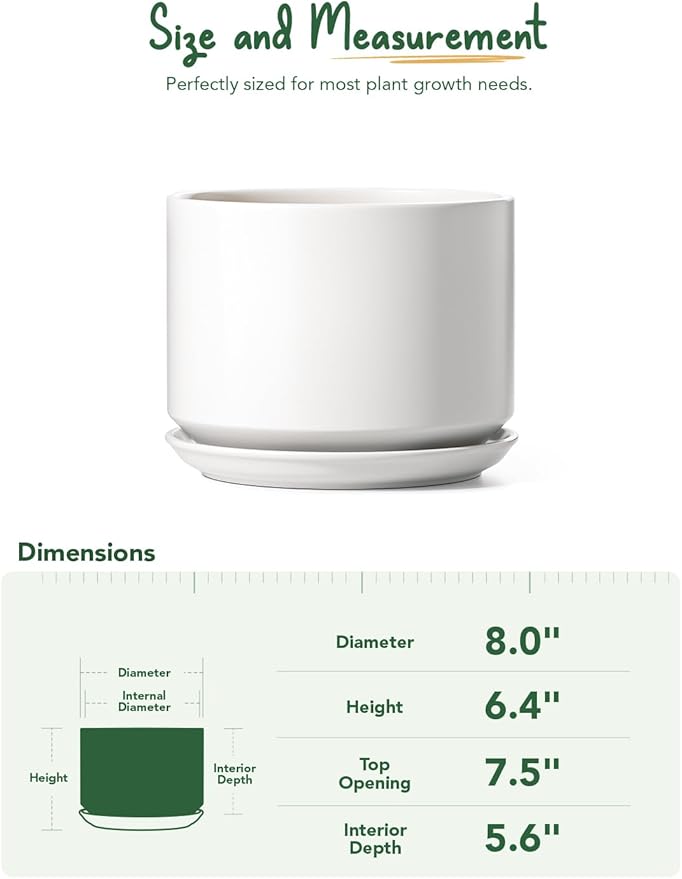 LE TAUCI Ceramic Pots for Plants, 8 Inch Plant Pot with Drainage Hole & Saucer, Modern Minimalist Planters for Indoor Plants, Round Flower Pot for Snake Plant, Monstera, Perfect for Home Decor, White