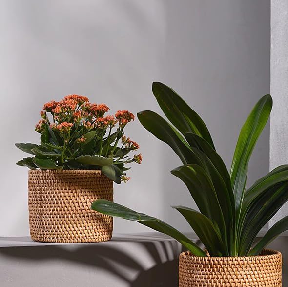 I-LAN Table Wicker Mini Trash Cans,Boho Rattan Desktop Storage Bin,Rattan Cutlery Container Holder,Home Decor Flower Pot Cover for Indoor Planter,6.7"x6.7"x6"