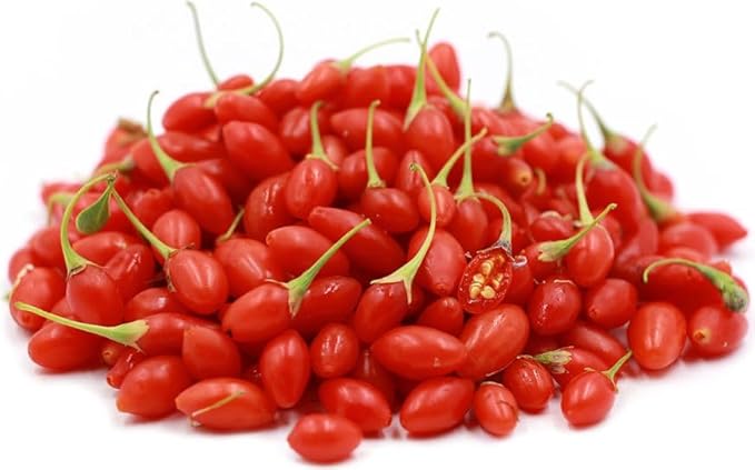 Goji Berry (lycium barbarum) - Live Plant - (1 QT)