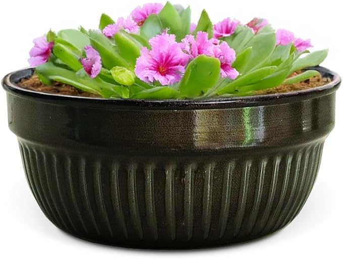 Headwind Glazed Ironstone Boutique Collection Cascade Bowl Plant Pot – Graphite Color 8 Inch Pot for Indoor Plants - Planters for Indoor Plants - Ideal Succulent Planters by Robert Allen