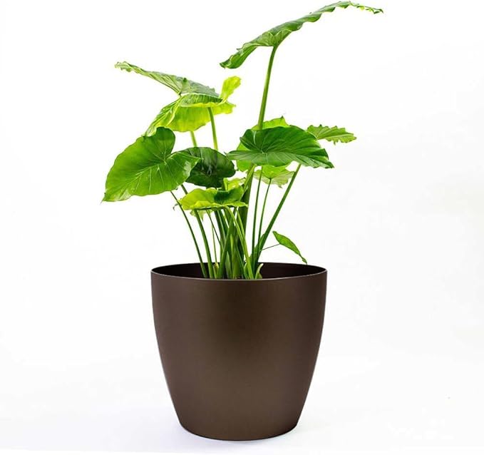 Greenline Manufacturing Memphis 13" Round Indoor Floor Planter Pot – Lightweight & Durable Plastic, Modern Design, Made in USA, Recyclable Large Plant Container for Home & Office Décor (Espresso Meta