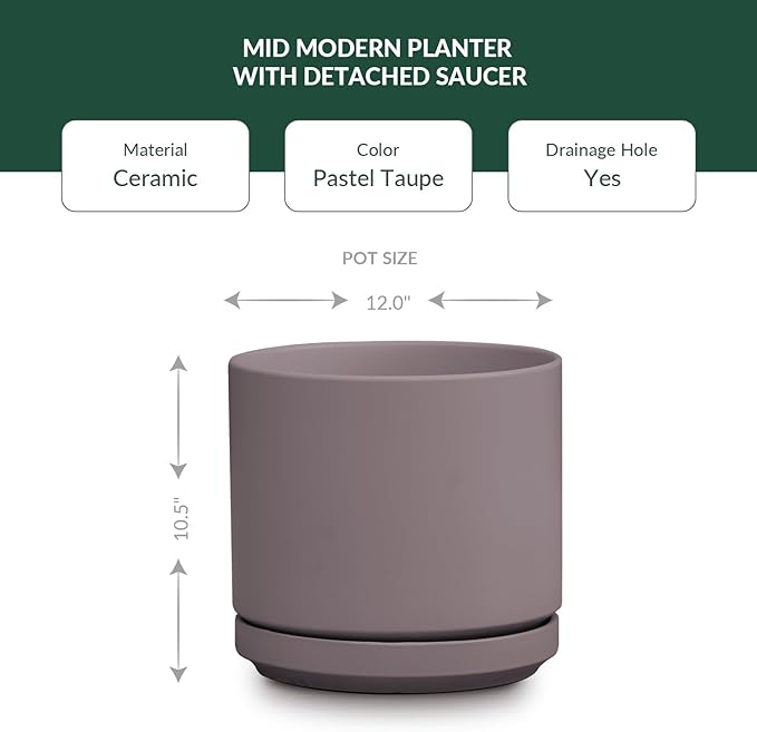 PLANTATOREM Ceramic 12 Inch Mid Modern Planter Pot with Drainage Hole and Saucer, Indoor Cylinder Round Flower Pot, Perfect for Planting Succulents, Herbs, Flowers, House Plants, Pastel Taupe