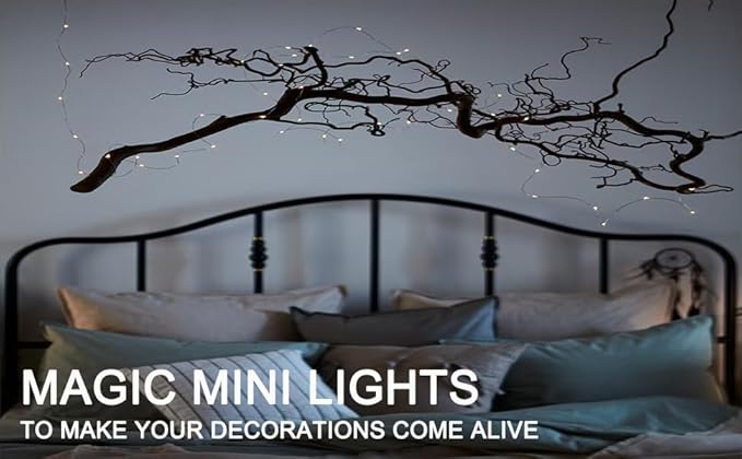 Beingreat 2 Pack USB Plug-in Fairy Lights, 33ft 100 Mini LED Copper String Lights with 8 Modes, USB Starry Lights for Bedroom Wedding Christmas Garden Party DIY Crafting, Warm White