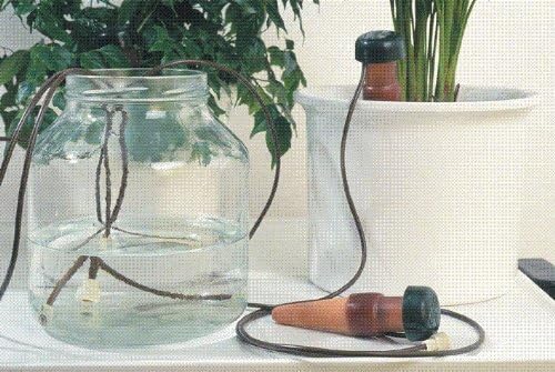Blumat Classic Self-Watering Stakes - Automatic Drip Irrigation System for Indoor Plant Watering & Outdoor - Water Drip Solution for Potted Plants - Slow Release Stakes, 10 Pack, wo Adapter