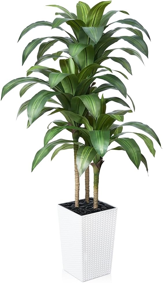 VeriNatural Artificial Dracaena Tree 5FT - Fake Tree with White Taper Planter & Pebbles - UV Resistant Faux Yucca Tropical Plant - Artificial Trees for Home Office Living Room Decor Indoor Outdoor