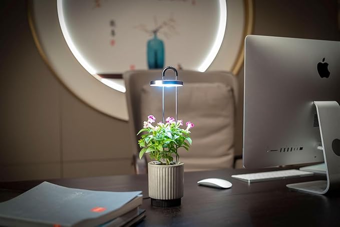 Mini Smart Planter Kit with Petunia Plant Pods by Click&Grow, Hydrovase Indoor Garden, Self-Watering Pot with Grow Light (Grey)