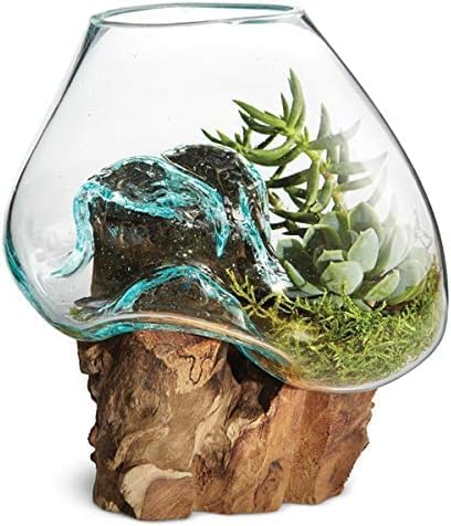 OMA Molten Glass on Driftwood – Hand-Blown Melted Glass Vase, Terrarium, or Planter for Coastal & Boho Home Décor (6"–7" High)