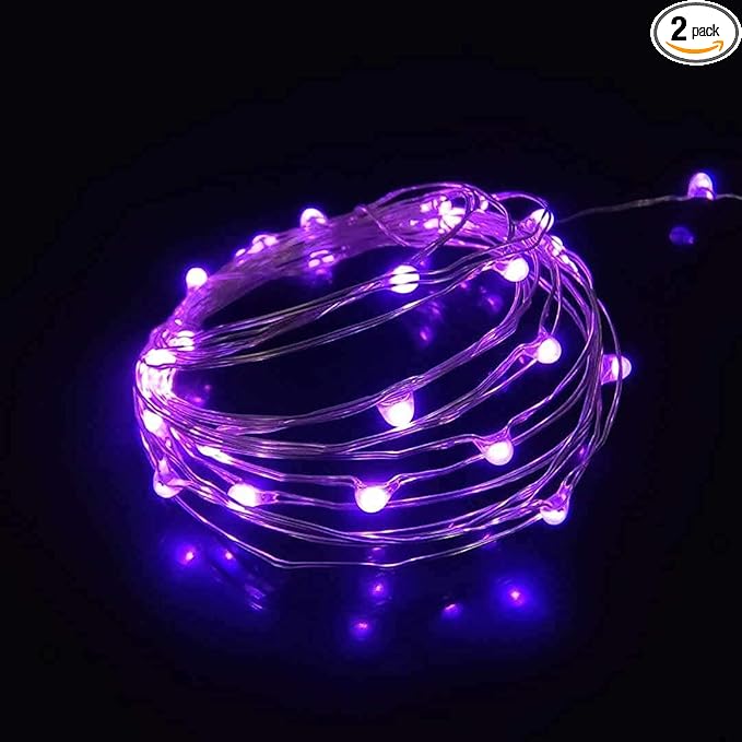 Everfit Lighting 2 Pack Battery Operated Mini Led Lights,Indoor Fairy Lights with Timer 6 Hours on/18 Hours Off for Christmas Party Decorations,30 Count LEDs,10 Feet Silver Wire (Purple Color)