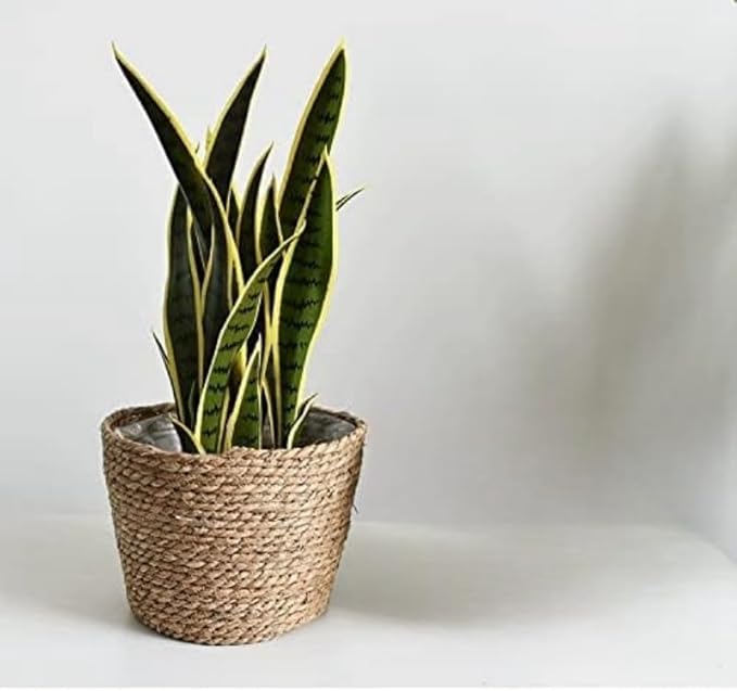 Seagrass Planter Basket Set With Plastic Lining Woven Storage Basket 7x6 In Indoor And Outdoor Plant Flowerpot Baskets Are Very Suitable For Flowerpot Covers. Natural Plant Containers (Small)