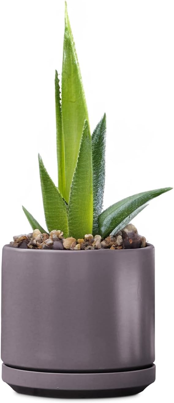 PLANTATOREM Ceramic 10 Inch Mid Modern Planter Pot with Drainage Hole and Saucer, Indoor Cylinder Round Flower Pot, Perfect for Planting Succulents, Herbs, Flowers, House Plants, Pastel Taupe