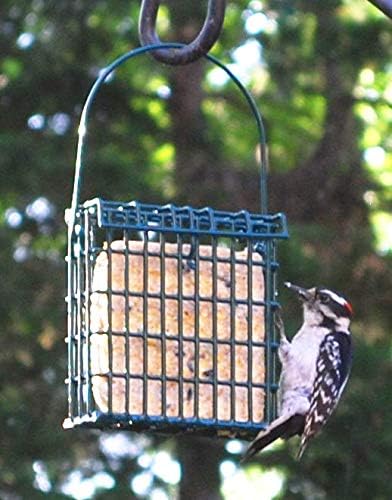 ST. ALBANS BAY SUET PLUS Suet Cake Variety Packs | 11 oz. Wild Bird Suet Cakes | (Hot Pepper, 10 Pack)