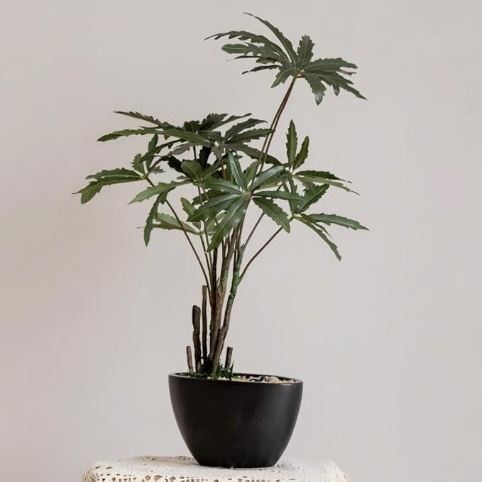 Avoeco Artificial False Aralia-21.2" Plant with Pebbles & Ceramic Pot – Realistic Faux Money Tree – Artificial Bonsai Tree for Home, Office, Boho, Modern,Minimalist & Japanese Decor (Black)