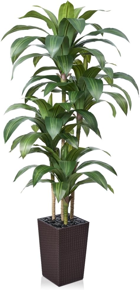 VeriNatural Artificial Dracaena Tree 6FT - Fake Tree with Brown Taper Planter & Pebbles - UV Resistant Faux Yucca Tropical Plant - Artificial Trees for Home Office Living Room Decor Indoor Outdoor