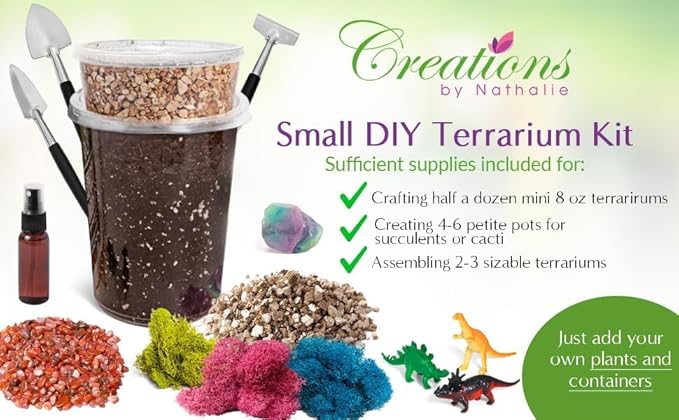 Creations by Nathalie – Premium Small DIY Terrarium Kit for Succulents, Cacti & Air Plants, Includes Soil, Moss, Pebbles, Tools, Amethyst Gem & Crystal Chips – Handmade in USA