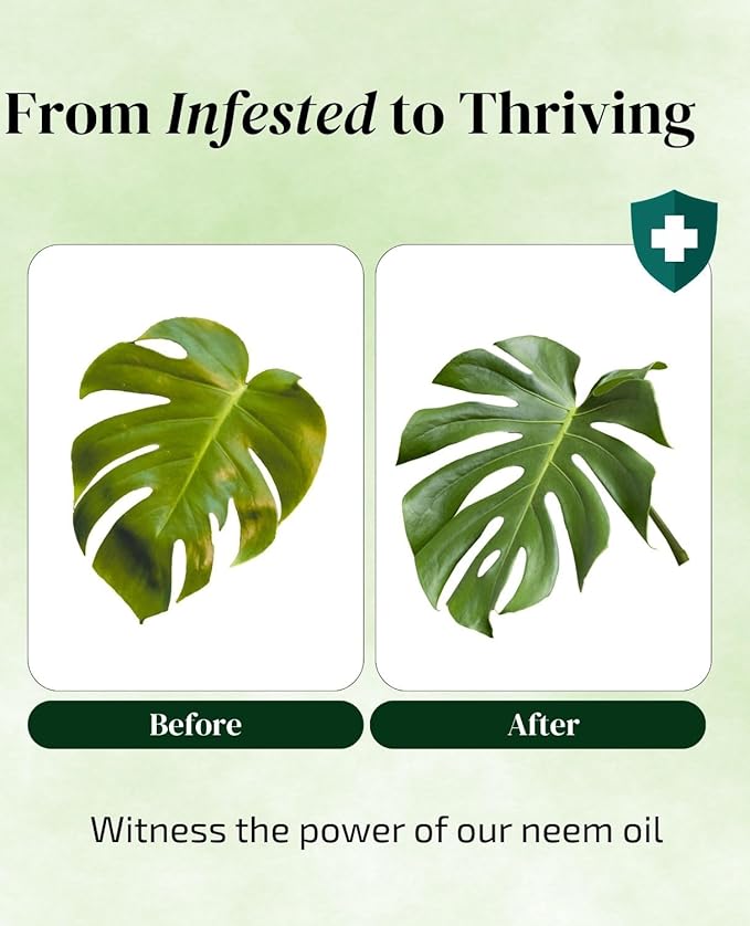 Neem Oil for Plants Refill (Makes 30 Spray Bottles, 480 fl oz) Infused with Lavender, Peppermint & Rosemary Essential Oils (2.7 fl oz)