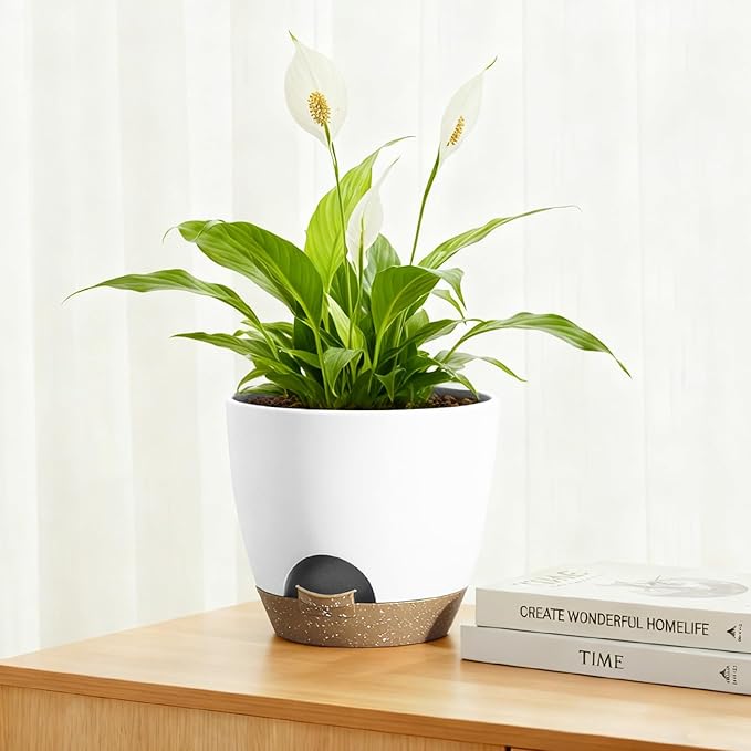 Hylitong Plant Pots 8/7.5/7/6.5/6 Inch Self Watering Pots,5 Pack Planters with Drainage Holes and Saucers,Plastic Flower Pots,Nursery Planters for Indoor Outdoor Plants (White)