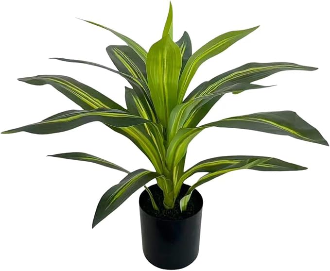 Alupssuc Artificial Dracaena Fake Tree 1.6FT, White High Pot Artificial Plants Indoor&Outdoor, Fake Plants for Office/Home/Living Room Potted Decoration, 1.6ft