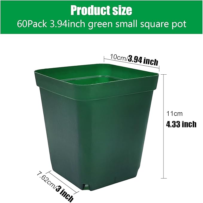RooTrimmer Square Nursery Succulent Pots 4 Inches 60 Pcs Deep Flower Plant Nursery Seedling Grow Pots Plastic with Drainage (Green, 4Inches, 60Pcs)
